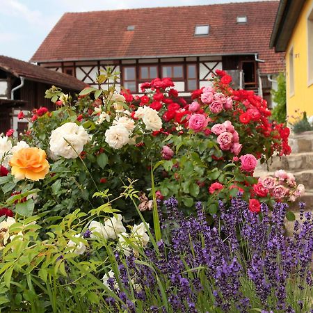 Studioapartment Mit Wohlfuehlcharakter Litzendorf エクステリア 写真