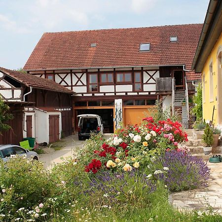 Studioapartment Mit Wohlfuehlcharakter Litzendorf エクステリア 写真