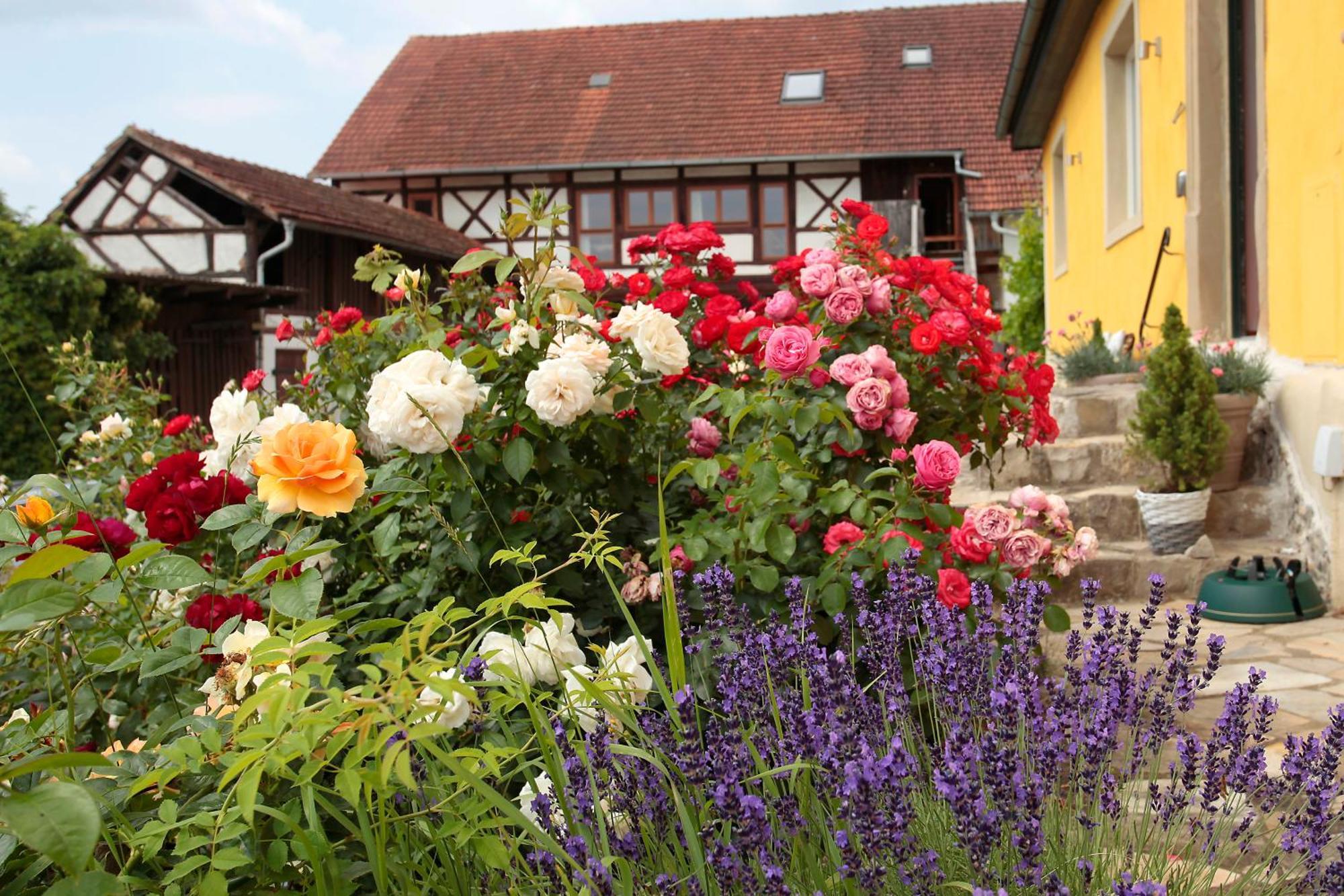 Studioapartment Mit Wohlfuehlcharakter Litzendorf エクステリア 写真